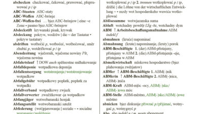 Leseprobe aus dem Deutsch-obersorbischen Wörterbuch neuer Lexik (S.17)