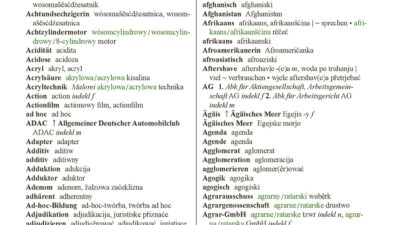 Leseprobe aus dem Deutsch-obersorbischen Wörterbuch neuer Lexik (S.19)